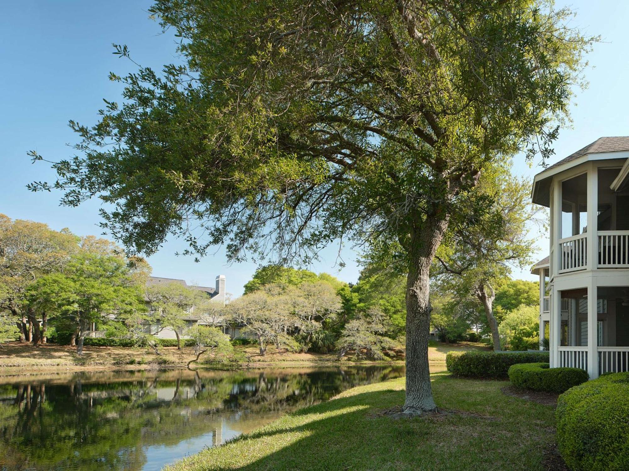 Kingston Plantation Condos Briarcliffe Acres Экстерьер фото